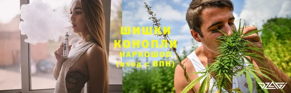 крисы Алзамай