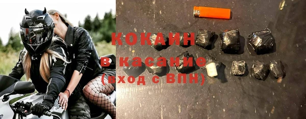 крисы Алзамай