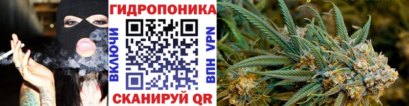 Бошки Шишки VHQ  Зверево 